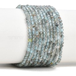 Natürliche Apatit Perlen Stränge&nbsp;G-RM250104-C5