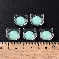 Abalorios de acrílico transparentes&nbsp;X1-MACR-S373-115-B03