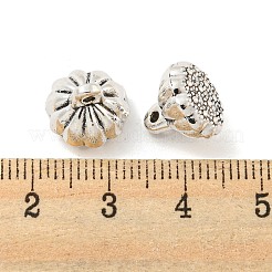 Tibetischen Stil Legierungs Anhänger & Charms&nbsp;FIND-M011-06AS