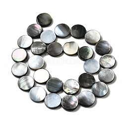Natur schwarz Lippe Shell Perlen Stränge&nbsp;BSHE-D300-05-14mm