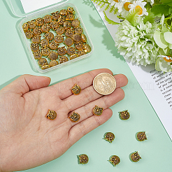 50pcs perles en alliage de style tibétain&nbsp;FIND-PH0036-17AG