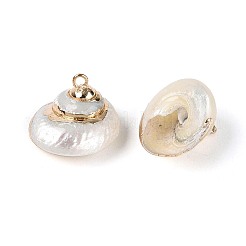 Galvanische natürliche Spiralschalenanhänger&nbsp;SSHEL-N042-09