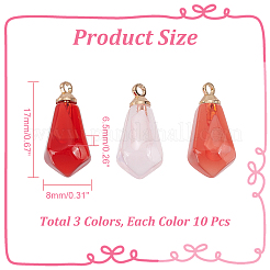 30pcs 3 couleurs pendentifs en résine transparente&nbsp;RESI-NB0001-99