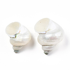 Perles de coquillage en spirale naturelle&nbsp;X-SSHEL-N034-126