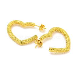 Orecchini in acciaio inossidabile 304&nbsp;EJEW-R161-17G