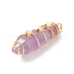 Natürlichen Amethyst wies Anhänger&nbsp;PALLOY-JF01703-01