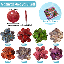 160 Stück 8 Farben natürliche Akoya-Muschel-Anhänger&nbsp;BSHE-TA0001-02