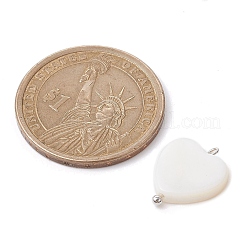 Pendentifs de coquillages d'eau douce naturelle&nbsp;PALLOY-JF02416-01