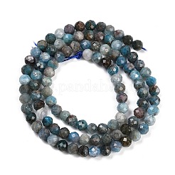 Perline apatite naturale fili&nbsp;G-F782-B05-03