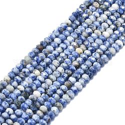 Fili di perle di diaspro macchia blu naturale, sfaccettato, rondelle, 6x4mm, Foro: 1 mm, circa 85~90pcs/filo, 15.55 pollice (39.5 cm)
