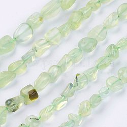 Chapelets de perles en préhnite naturelle, pierre roulée, pépites, 2~11x4~8x2~4mm, Trou: 1mm, Environ 62 pcs/chapelet, 15.74 pouce