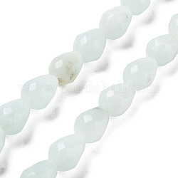 Chapelets de perles en amazonite naturelle, larme à facettes, 10x7mm, Trou: 1.2mm, Environ 20 pcs/chapelet, 7.87'' (20 cm)