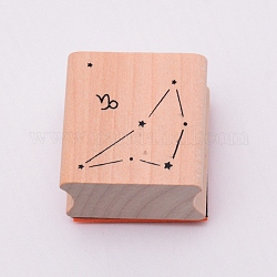 Wooden Stamps, with Rubber, Square with Twelve Constellations, Capricorn, 30x30x24mm