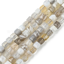 Chapelets de perles en agate naturelle du Botswana, facette, cube, 2~2.5x2~2.5x2~2.5mm, Trou: 0.5mm, Environ 176~181 pcs/chapelet, 15.16~15.35 pouce (38.5~39 cm)