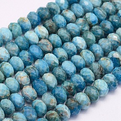 Chapelets de perles en apatite naturelle, facette, rondelle, 8x5mm, Trou: 1mm, Environ 63 pcs/chapelet, 15.1 pouce (38.5 cm)