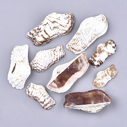 Muschel Perlen, ungebohrt / keine Lochperlen, Muschelfarbe, 17~31x35~64x8~15 mm
