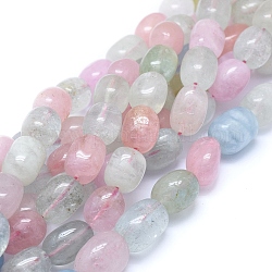 Chapelets de perles en morganite naturelle, Grade a, tambour, couleur mixte, 13~14x10~11mm, Trou: 1mm, Environ 28 pcs/chapelet, 15.75 pouce (40 cm)