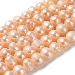 Fili di perle di perle d'acqua dolce coltivate naturali, patata, grado 2a+, peachpuff, 8~9x6.5~8mm, Foro: 0.6 mm, circa 47pcs/filo, 13.90~14.17 pollice (35.3~36 cm)
