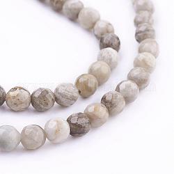 Natürliche Silberblatt Jaspis Perlen Stränge, Runde, facettiert, 6 mm, Bohrung: 1 mm, ca. 66 Stk. / Strang, 15.7 Zoll (40 cm)