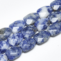 Perles de jaspe tache bleue naturelle, facette, calebasse, 16~16.5x12x6mm, Trou: 1mm, Environ 12 pcs/chapelet, 7.8 pouce