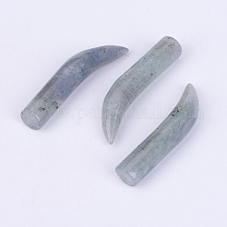 Perles naturelles de labradorite, pas de trous / non percés, forme ivoire, 34~38x6.5~7mm