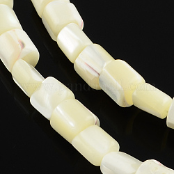 Fili di perle di conchiglia bianca naturale colonna, perle di madreperla, bianco crema, 7~8x7mm, Foro: 0.8 mm, circa 56pcs/filo, 15.35 pollice