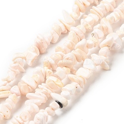 Fili di perle di conchiglia rosa naturale, patatine di crocchette, rosa nebbiosa, 5~13.5x4~7.5x1.5~6mm, Foro: 1 mm, circa 258pcs/filo, 30.71 pollice (78 cm)