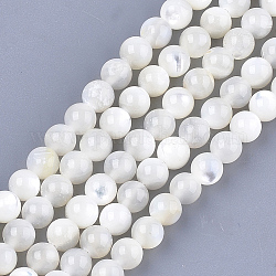 Shell perle bianche naturali, fili di perle di madreperla, tondo, avorio, 5mm, Foro: 1 mm, circa 75pcs/filo, 14.9 pollice