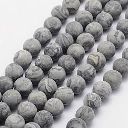 Fili di pietra naturale mappa / picasso pietra / picasso di perline jasper, smerigliato, tondo, 6mm, Foro: 1 mm, circa 62pcs/filo, 15.3 pollice (39 cm)