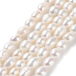 Hebras de perlas de agua dulce cultivadas naturales, dos caras pulidas, grado 4a+, color de concha, 7~8x8~9.5mm, agujero: 0.7 mm, aproximamente 42~43 pcs / cadena, 14.17'' (36~36.5 cm)