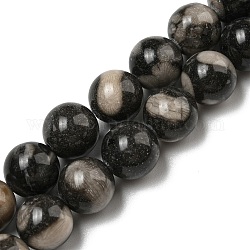 Brins de perles de corail fossile noir naturel, ronde, 10mm, Trou: 1.4mm, Environ 40~41 pcs/chapelet, 15.47~15.75'' (39.3~40 cm)