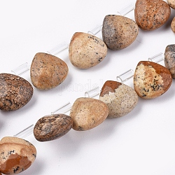 Chapelets de perles en jaspe avec images naturelles, perles percées, facette, larme, 10~10.5x10~10.5x5mm, Trou: 0.6mm, Environ 39 pcs/chapelet, 15.94 pouce (40.5 cm)