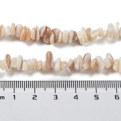 Cuentas de concha naturales hebras&nbsp;G-F328-45-1