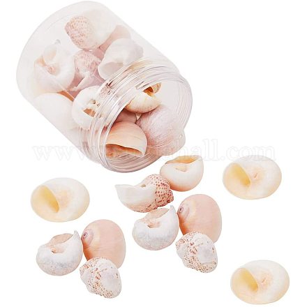 PH PandaHall 25pcs Snail Sea Shells with Hole Beach Seashells Natural Seashells for Candle Making SSHEL-PH0002-38-1