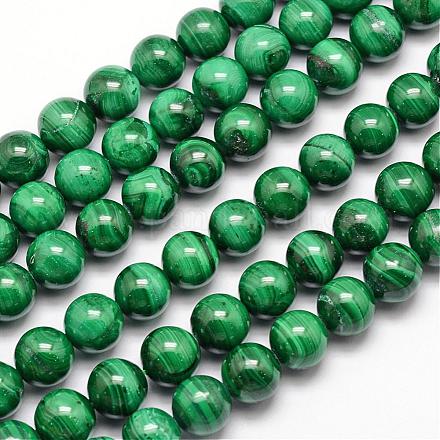Brins de perles naturelles de malachite G-O152-47-10mm-1
