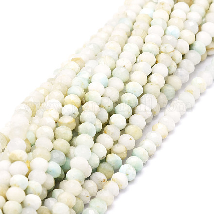Chapelets de perles en pierre gemme naturelle G-E569-I20-1