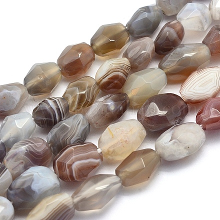 Chapelets de perles en agate naturelle du Botswana G-O170-32-1