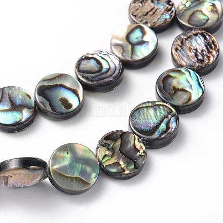 Flat Round Abalone/Paua Shell Beads Strands SSHEL-N007-04-1