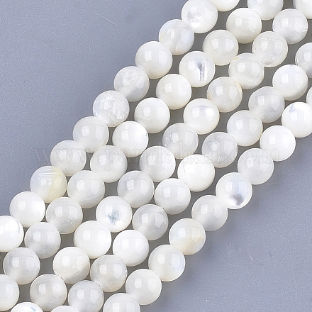 Natural White Shell Beads X-SHEL-T012-49C-1