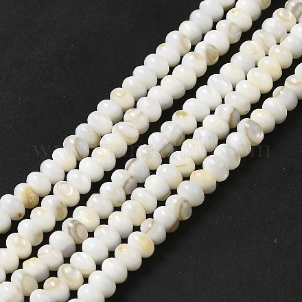 Eau douce naturelle de coquillage perles brins BSHE-E026-15A-01-1