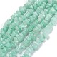 Dyed Natural Amazonite Beads Strands G-F703-08-1