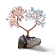 Natural Gemstone Tree Display Decoration DJEW-G027-03RG-3