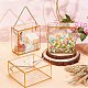 Transparent PET Candy Gift Boxes CON-WH0084-73A-5