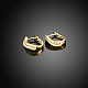 Brass Cubic Zirconia Hoop Earrings EJEW-BB14961-A-3