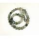 Natural Tree Agate Round Gemstone Beads Strands G-R255-8mm-2