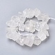 Natural Quartz Crystal Beads Strands G-I283-F06-2