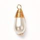 Ciondoli di perle di vetro PALLOY-JF00898-1