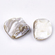 Perles de coquille d'eau douce SSHEL-T005-11-3