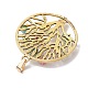 Подвески из смолы и лэмпворка PALLOY-JF02635-3