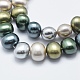 Shell Pearl Beads Strands BSHE-F001-02A-3